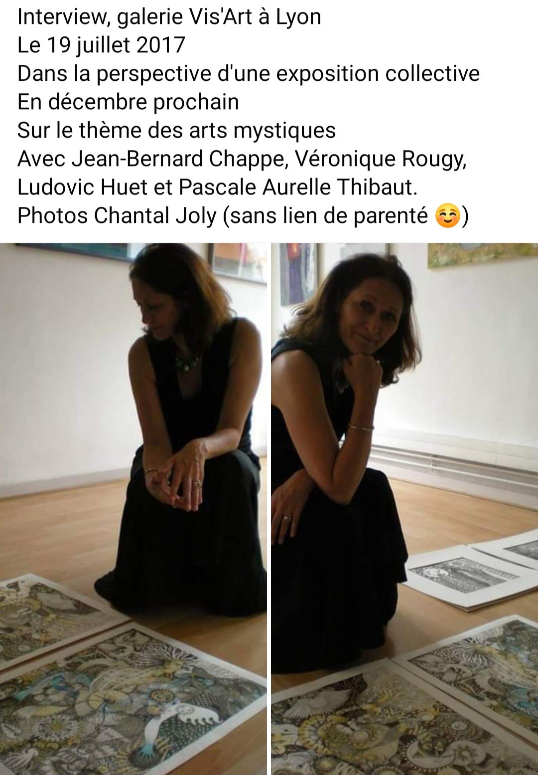 Vis'Art galerie, Lyon