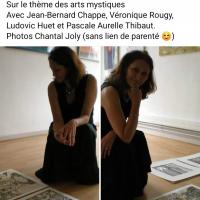 Vis'Art galerie, Lyon